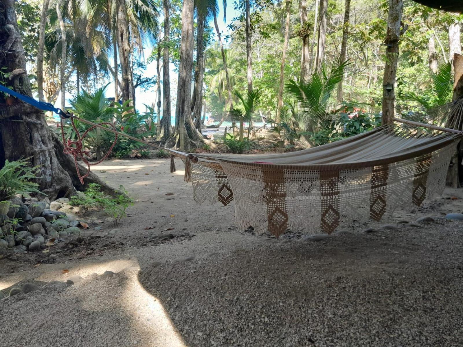 Beachfront Apartment Punta Uva Exterior photo